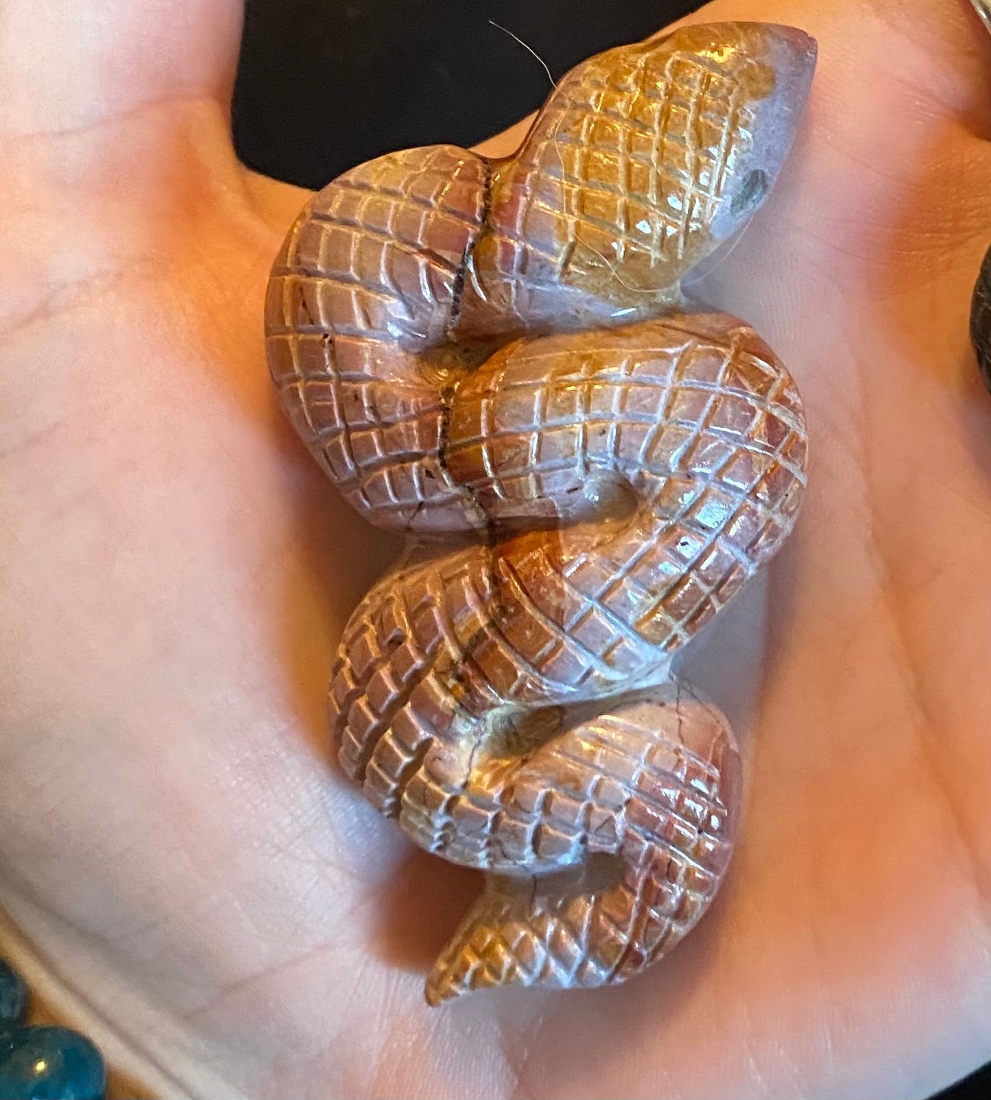 Indonesian Jasper Snake