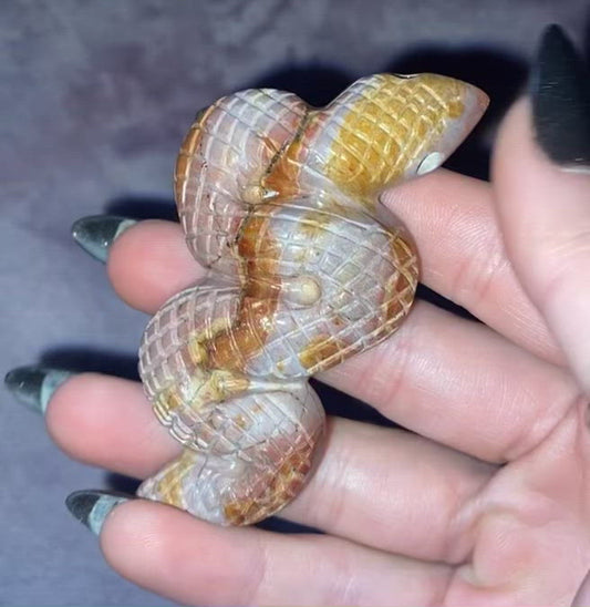 Indonesian Jasper Snake